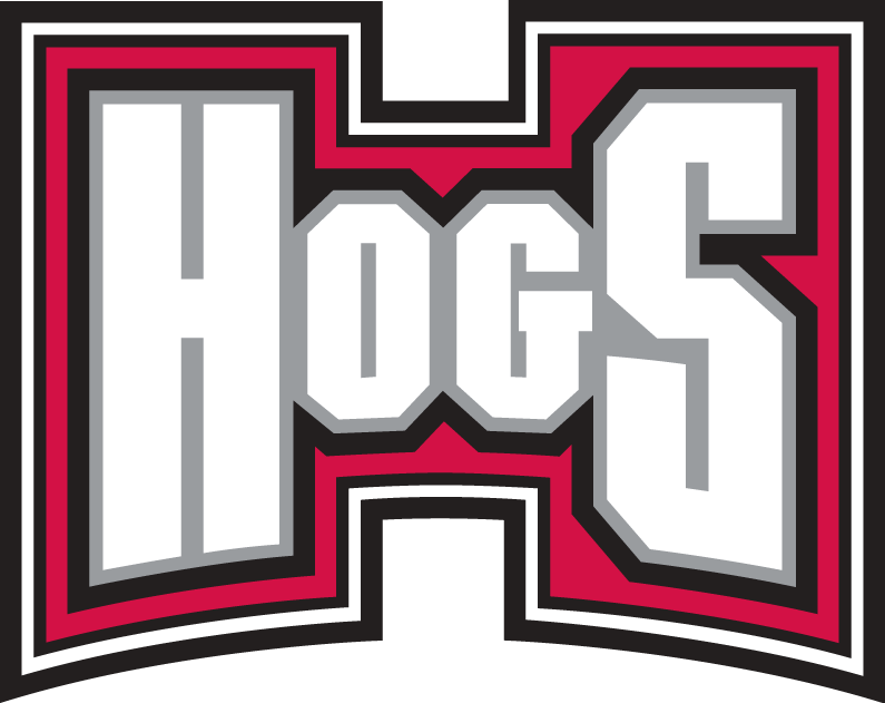 Arkansas Razorbacks 2001-2008 Wordmark Logo v2 diy iron on heat transfer